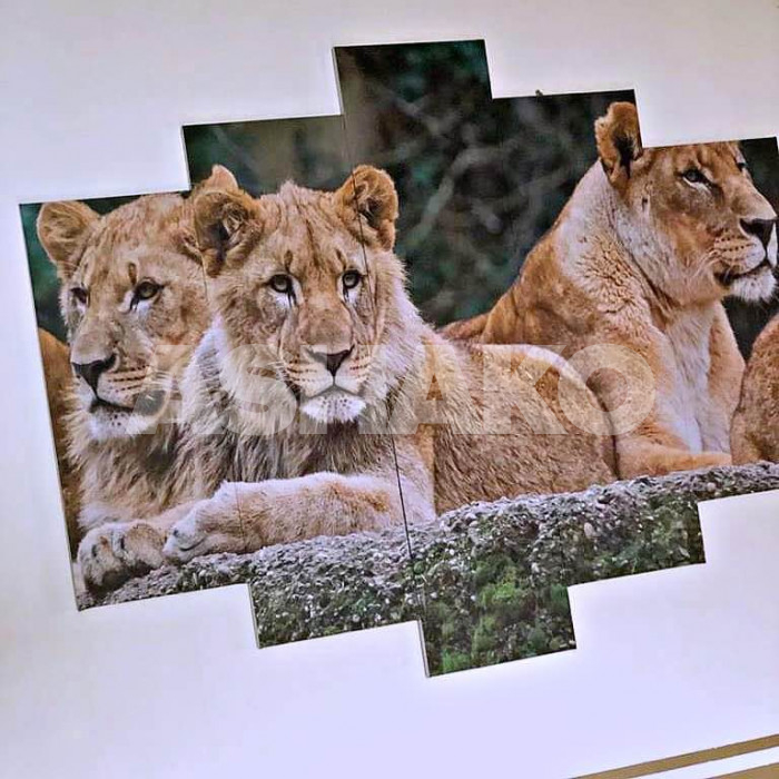 Canvas Painting 2 Image