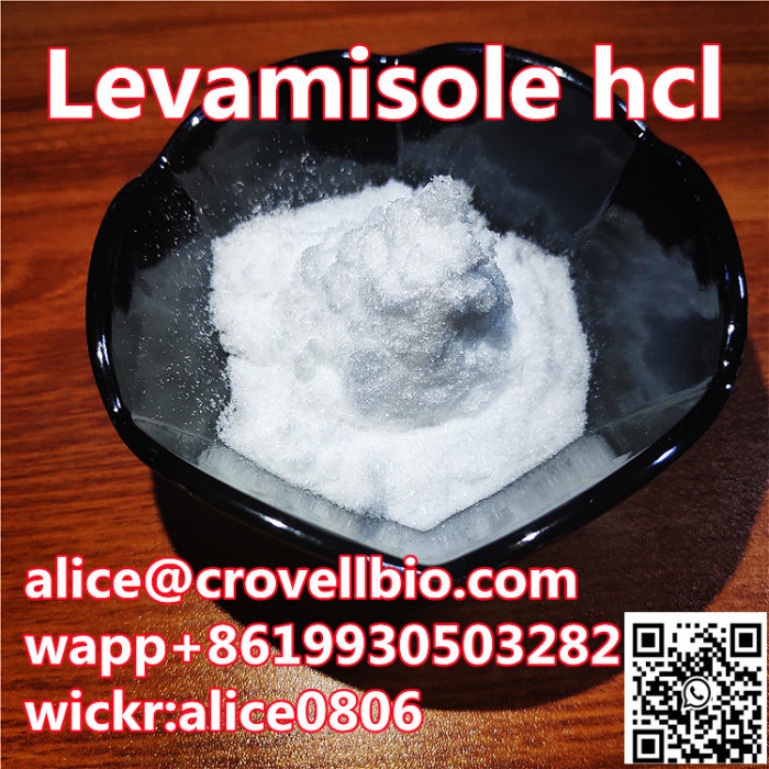 sales levamisole hcl with good price
